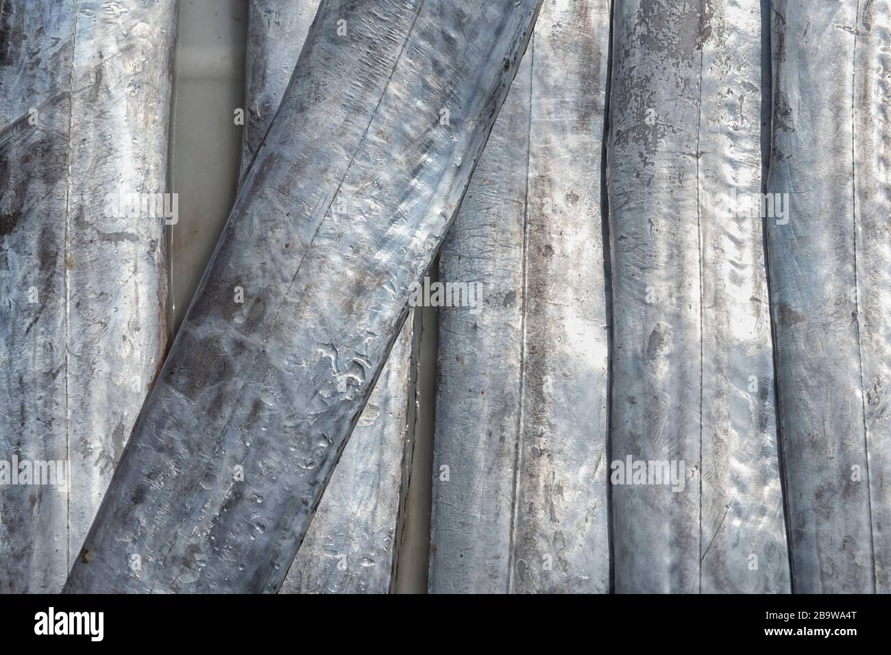 Saber fish detail on a fish market in Essaouira, Morocco. Abstract food background image. Stock Photo