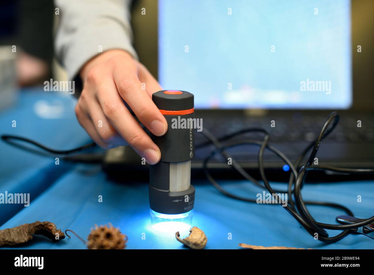 Students utilizes USB microscope during hands-on STEM experiment demonstration at science festival. Stock Photo