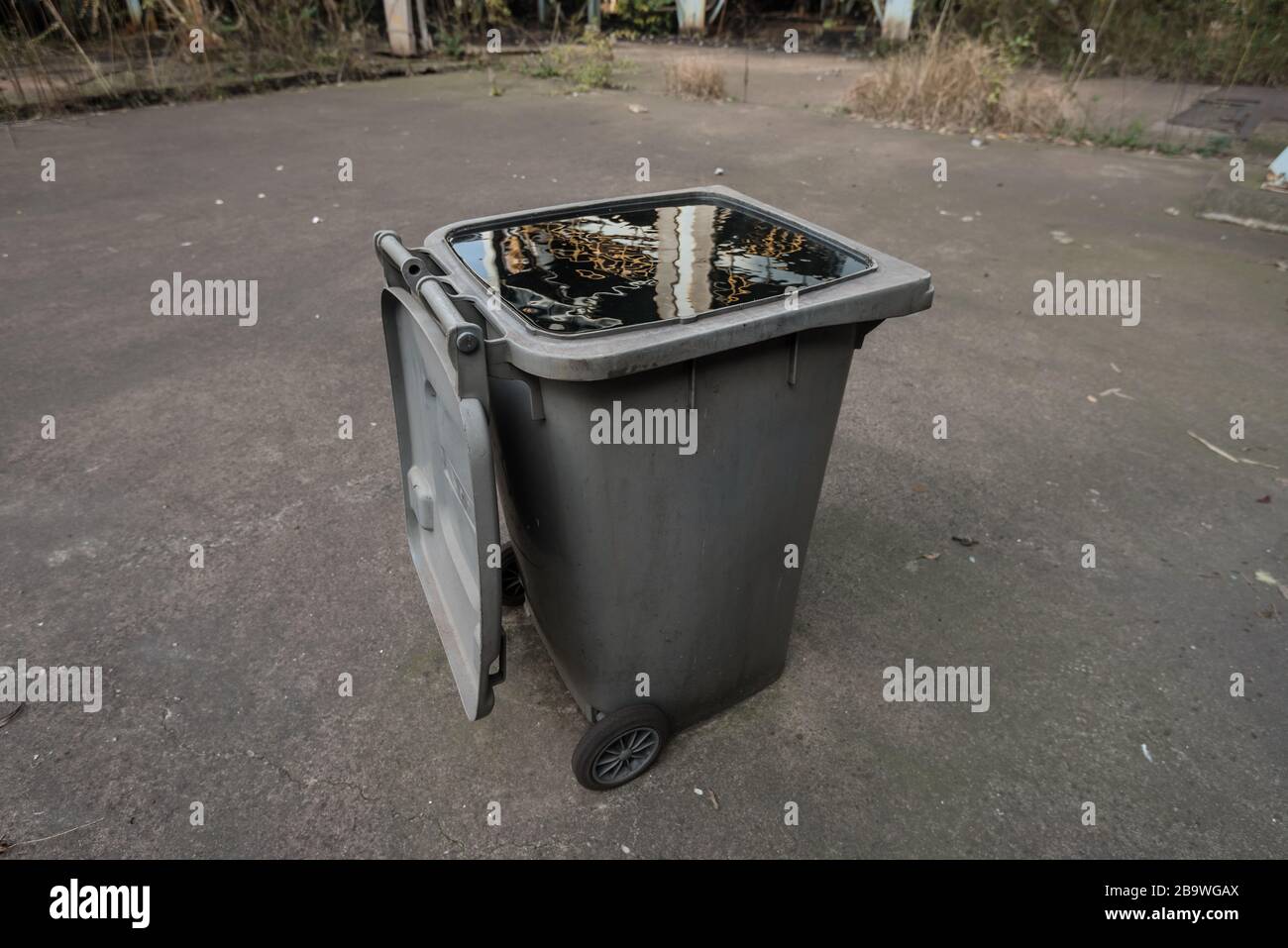 an abandoned garbage bin full of rainwater in an abandoned factory ...