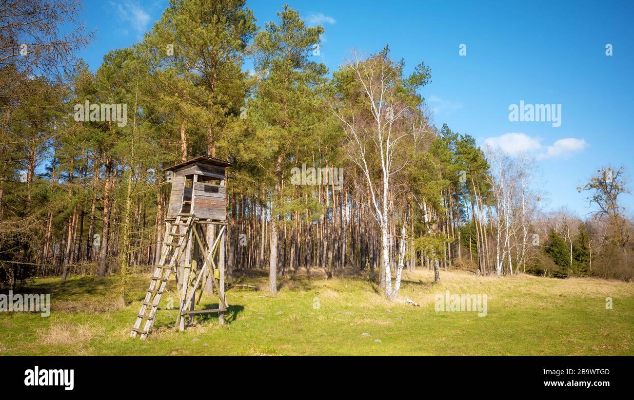 Wooden elevated deer hunting blind at the edge of a forest and field