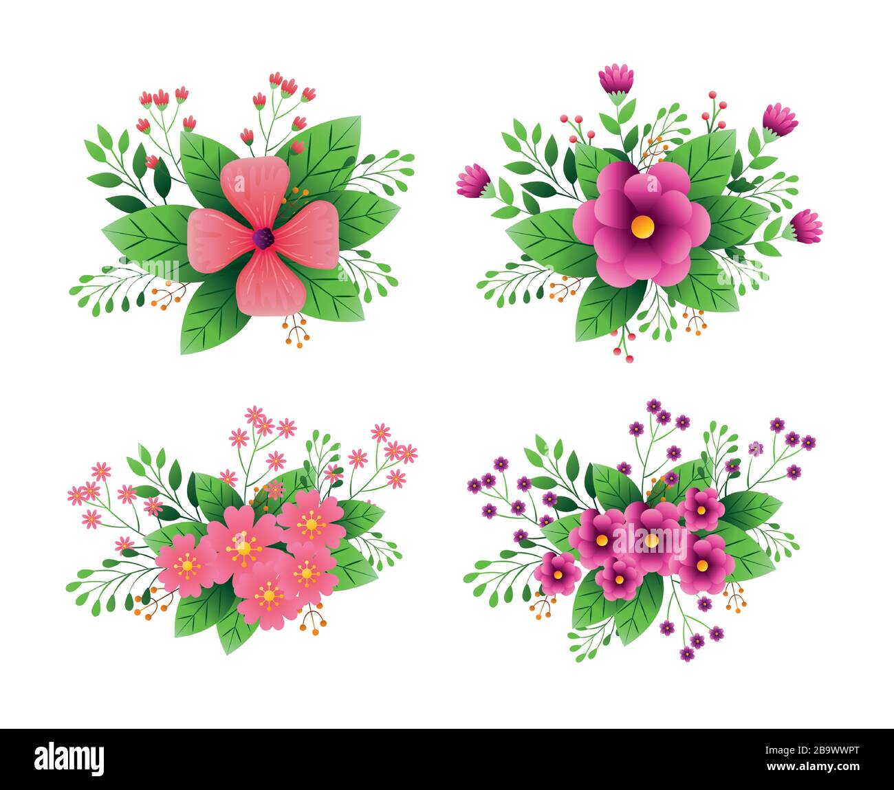 set of decoration flowers with branches and leafs Stock Vector Image ...