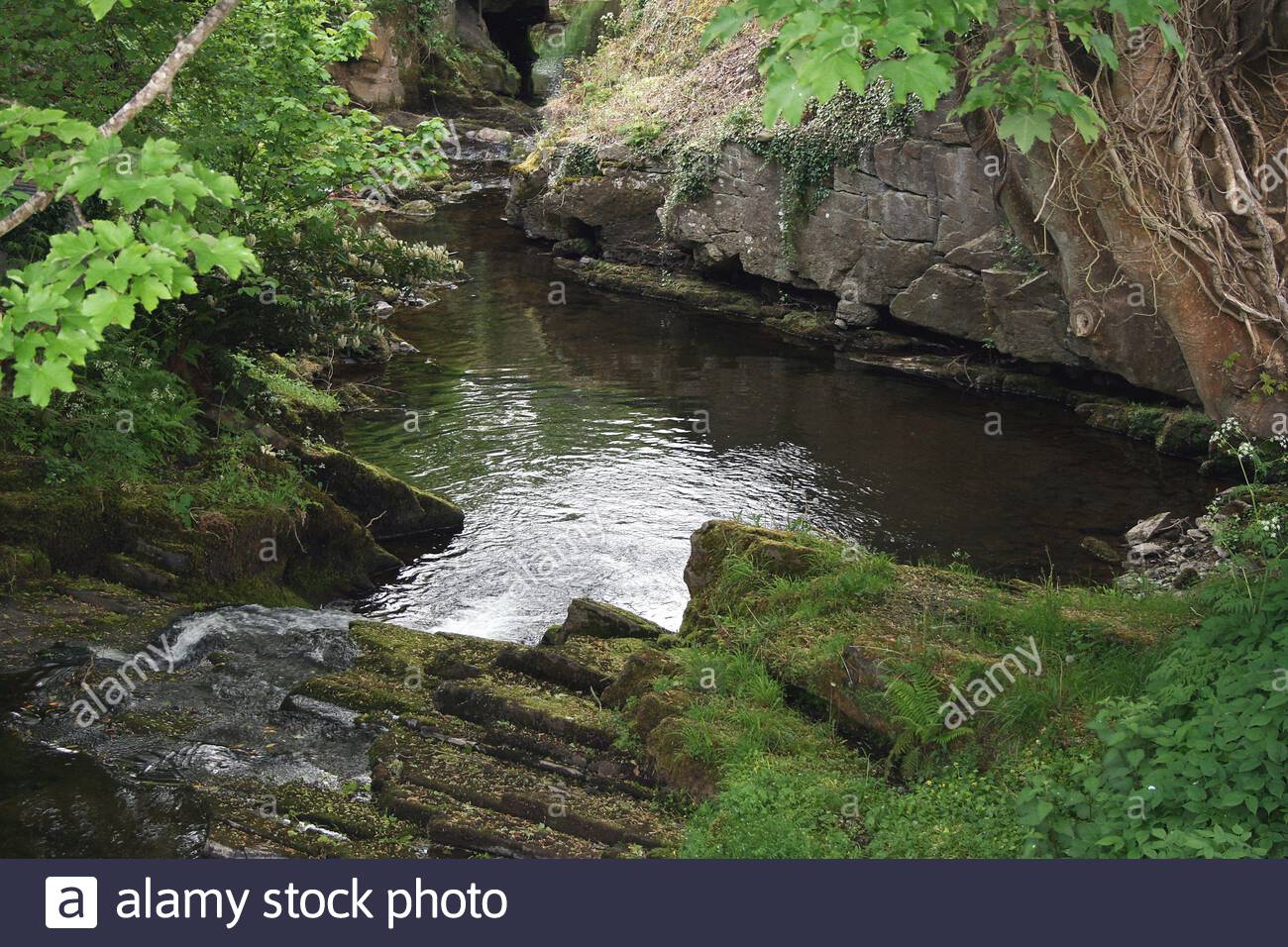 Official site of Kinnitty Castle Hotel, Ireland. Located in the beautiful countryside of Birr, Offaly. Book on official site for the best offers. Kinnitty Castle Hotel | Castle Hotel in Offaly, Ireland