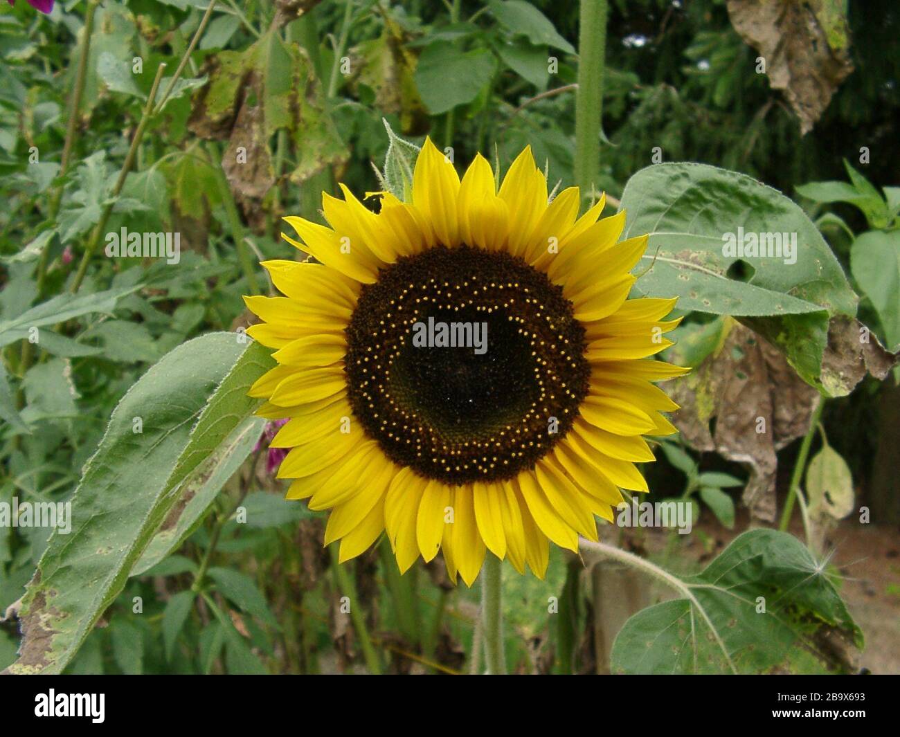 9 september 2003 hi-res stock photography and images - Alamy