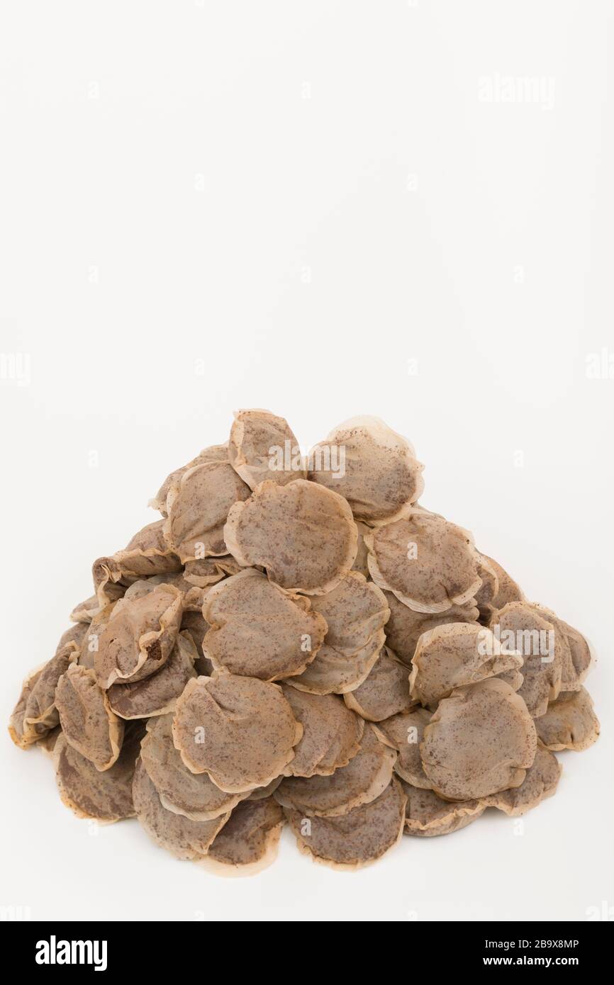 Theezakjes hi-res stock photography and images - Alamy