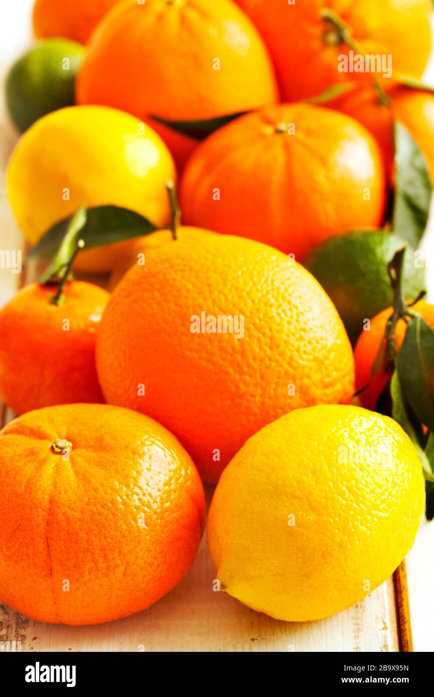 Different citrus fruits leaves hi-res stock photography and images - Alamy