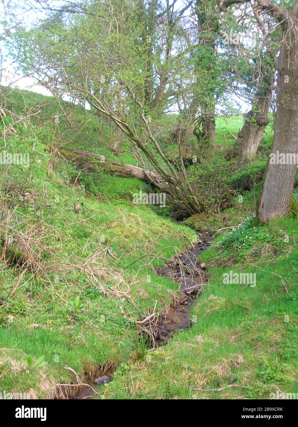 English: Near the site of St Anne's Holy Well on the Burnanne, Galston,  East Ayrshire, Scotland. 2007.; 25 April 2007 (original upload date); Own  work; Rosser1954 at English Wikipedia Stock Photo - Alamy