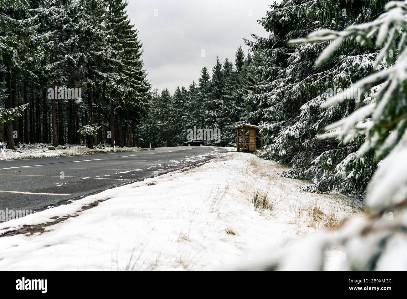 curved wet asphalt road in snowy pine forest Stock Photo - Alamy