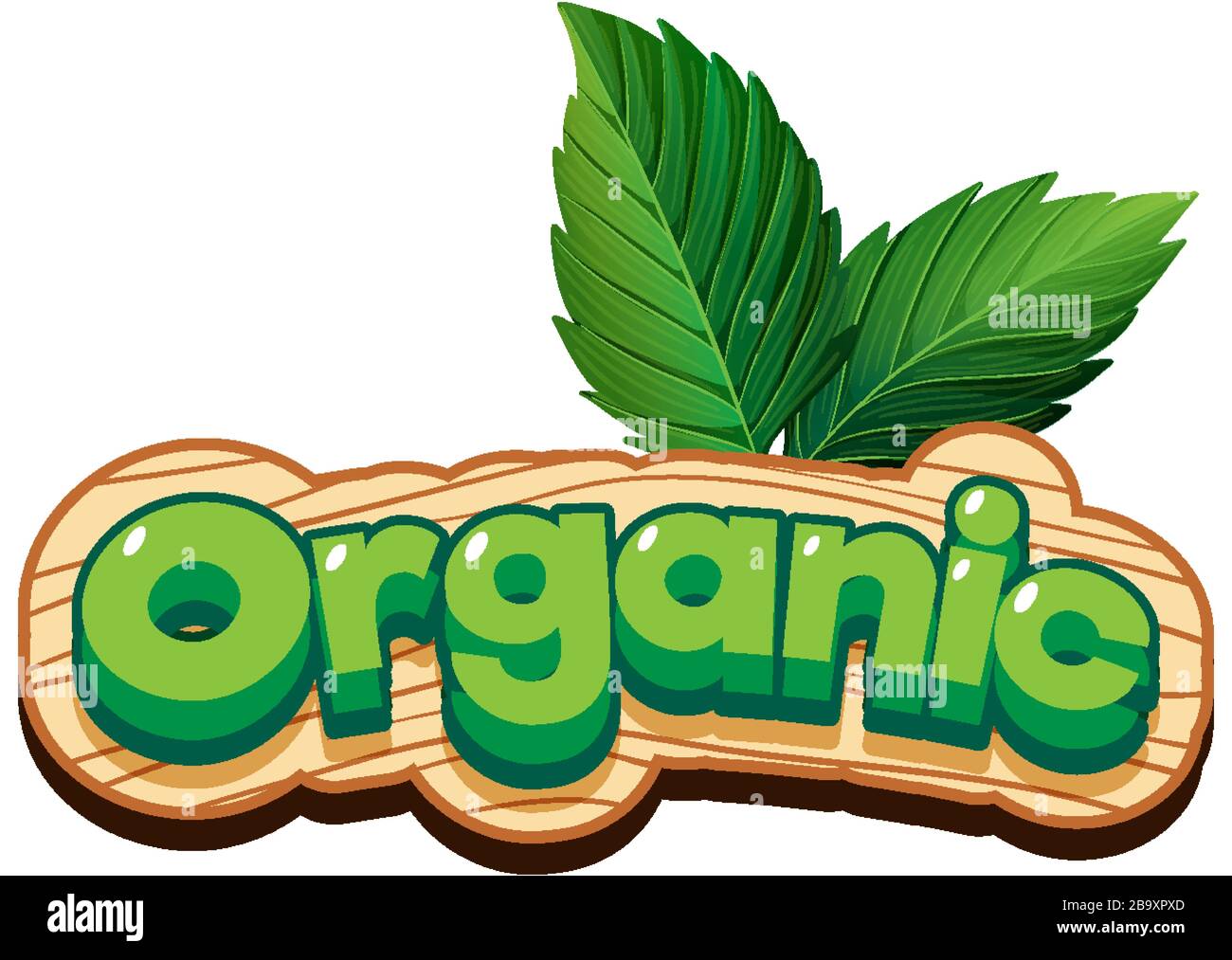 Font design for word organic with green mints illustration Stock Vector