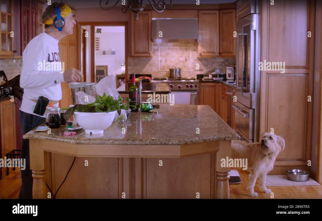THE DOG DOC, holistic veterinarian Dr. Marty Goldstein, 2019