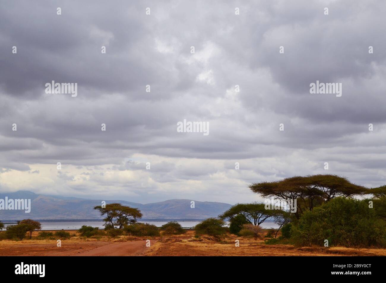 Savannah africa rainy season hi-res stock photography and images - Alamy