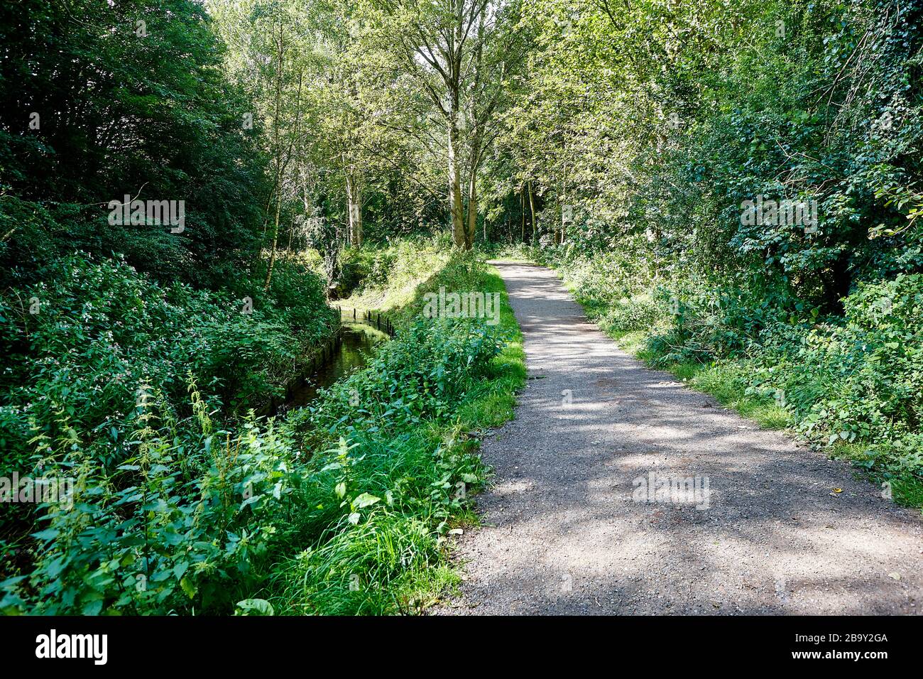 Woodland path in the English countryside on a bright sunny summers day, England, UK Stock Photo