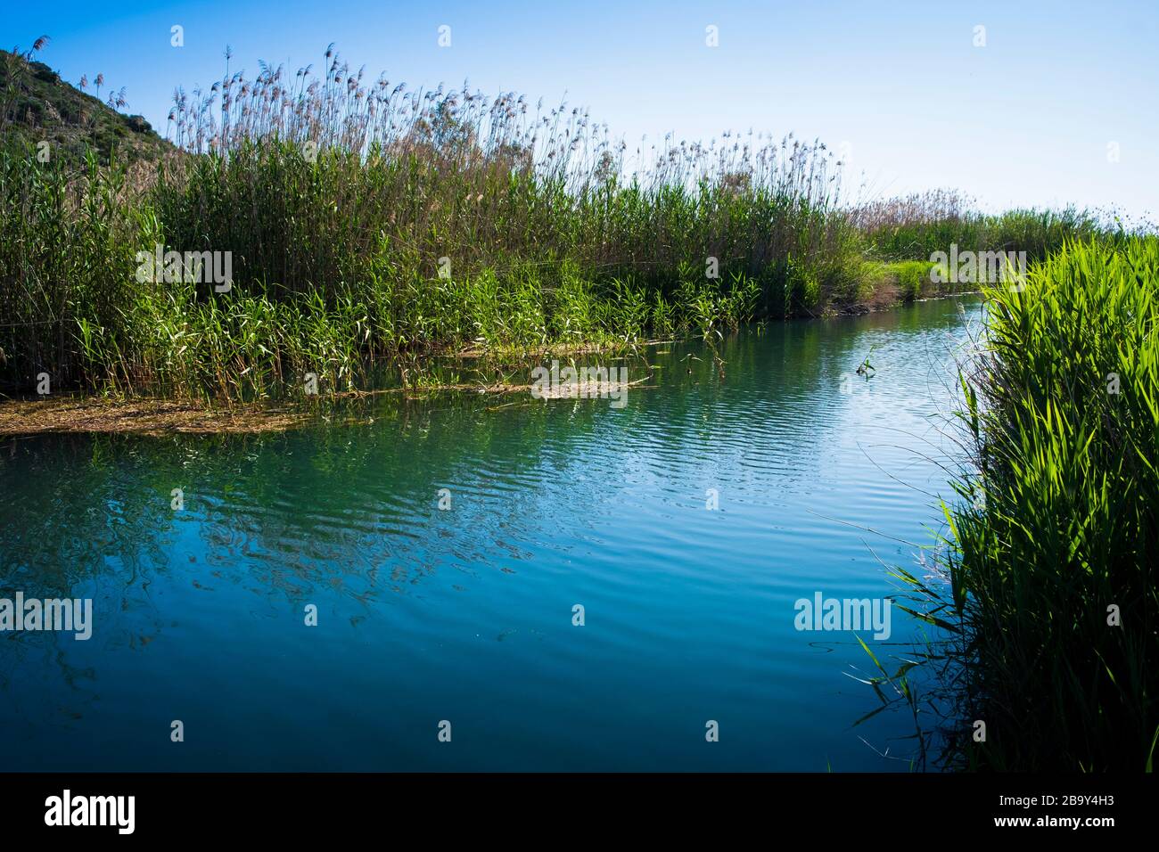 Scenic view of River Bullent, River Vedat at the Marjal at Font Salada, Oliva, Spain Stock Photo