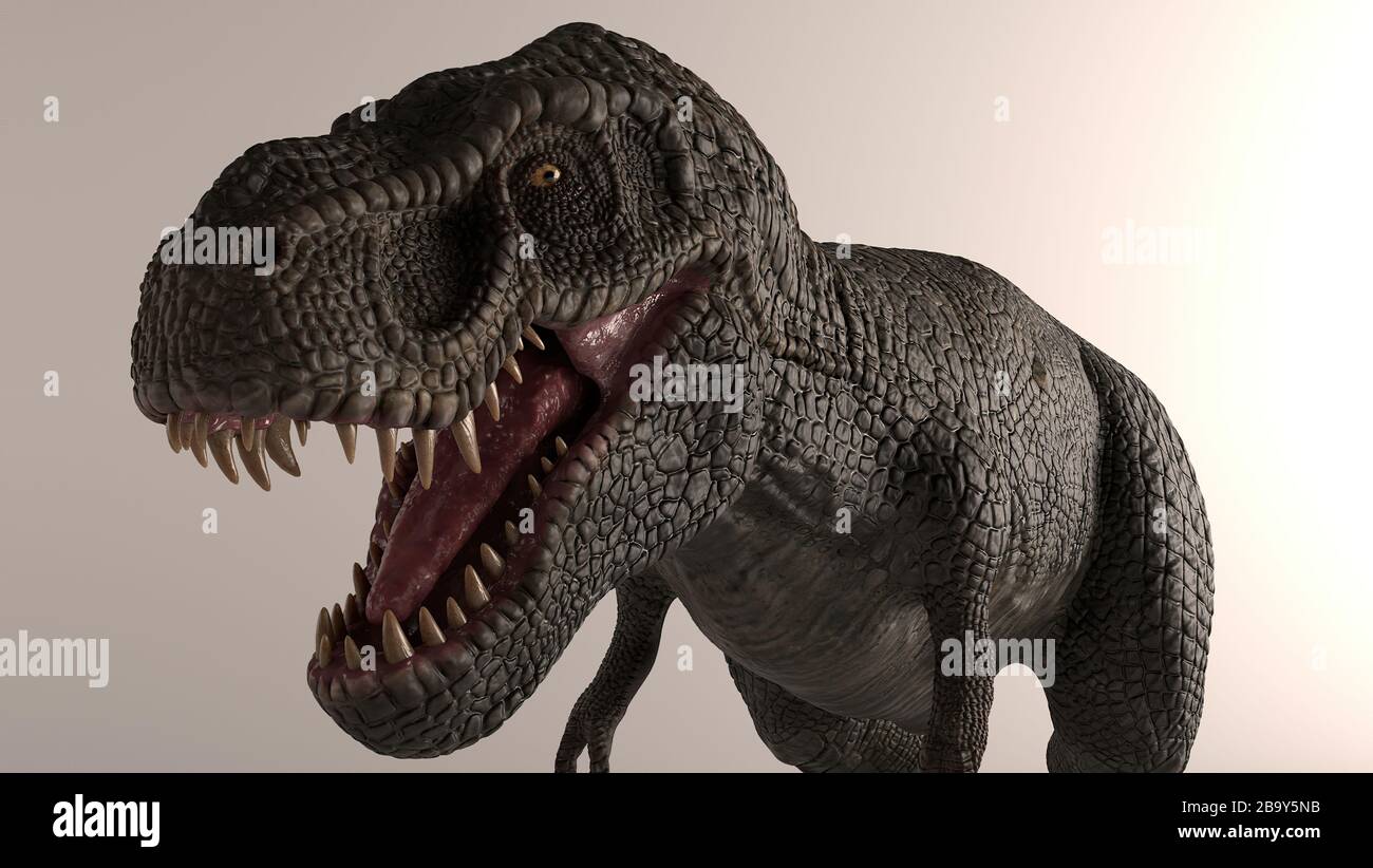 3D rendering of Dinosaur , isolated on white background. Descendant of Tyrannosaurus Rex -Zhuchengtyrannus magnus Stock Photo