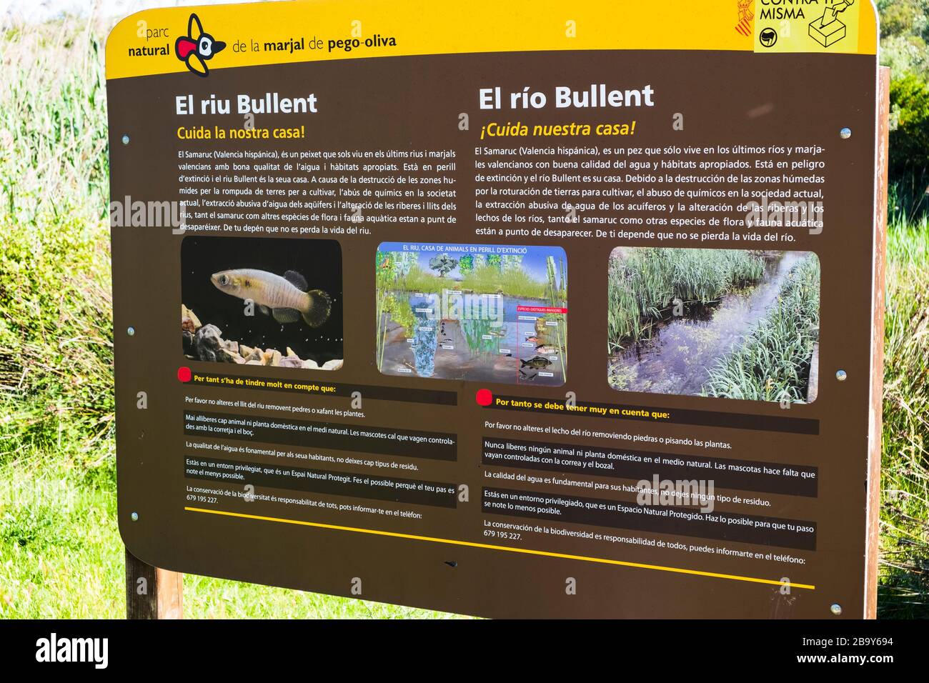 Information sign for the river Bullent at the Marjal at Font Salada, Oliva, Spain Stock Photo