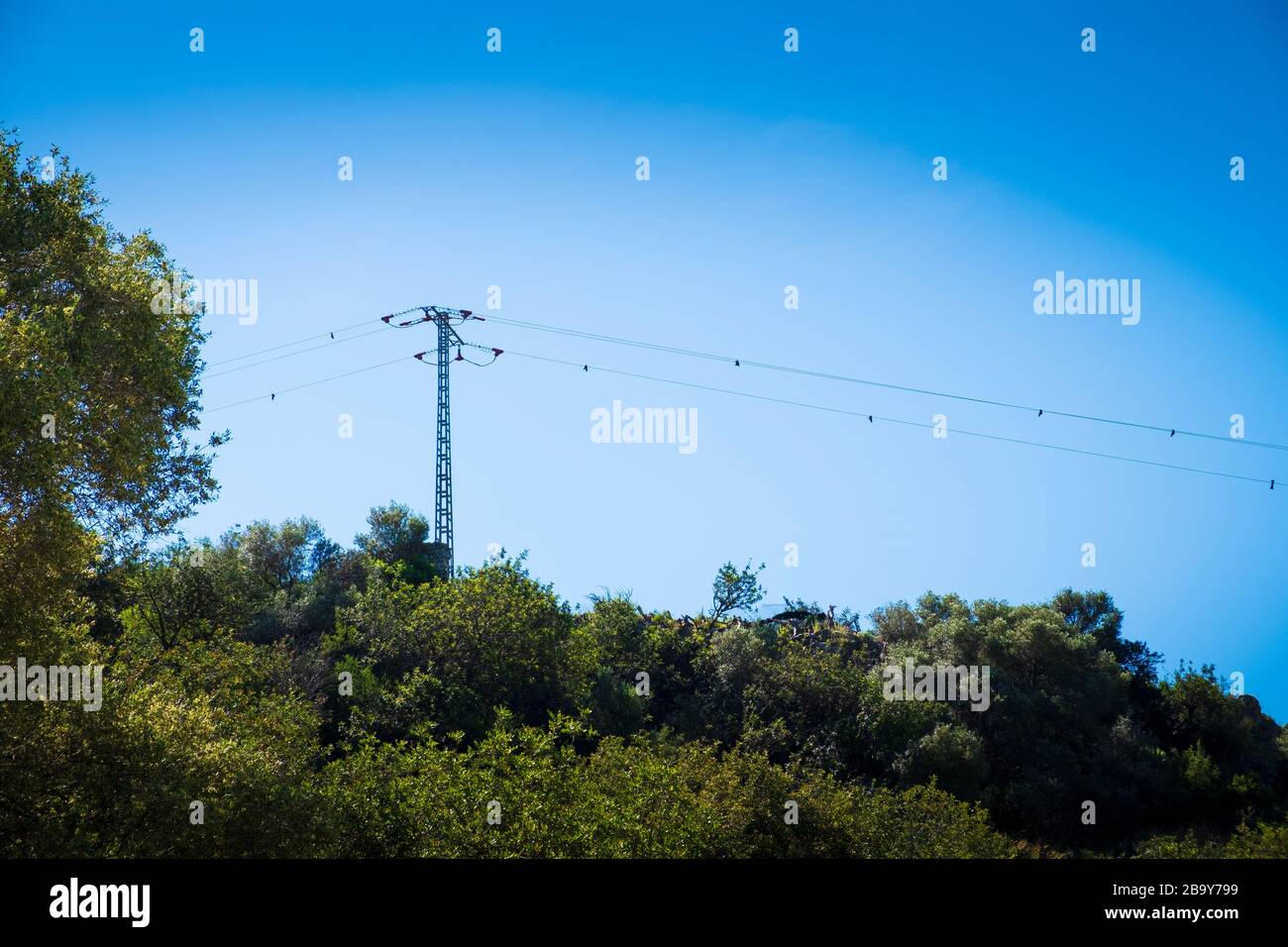Electricity pylons in the countryside at The Marjal at Font Salada, Oliva, Spain Stock Photo