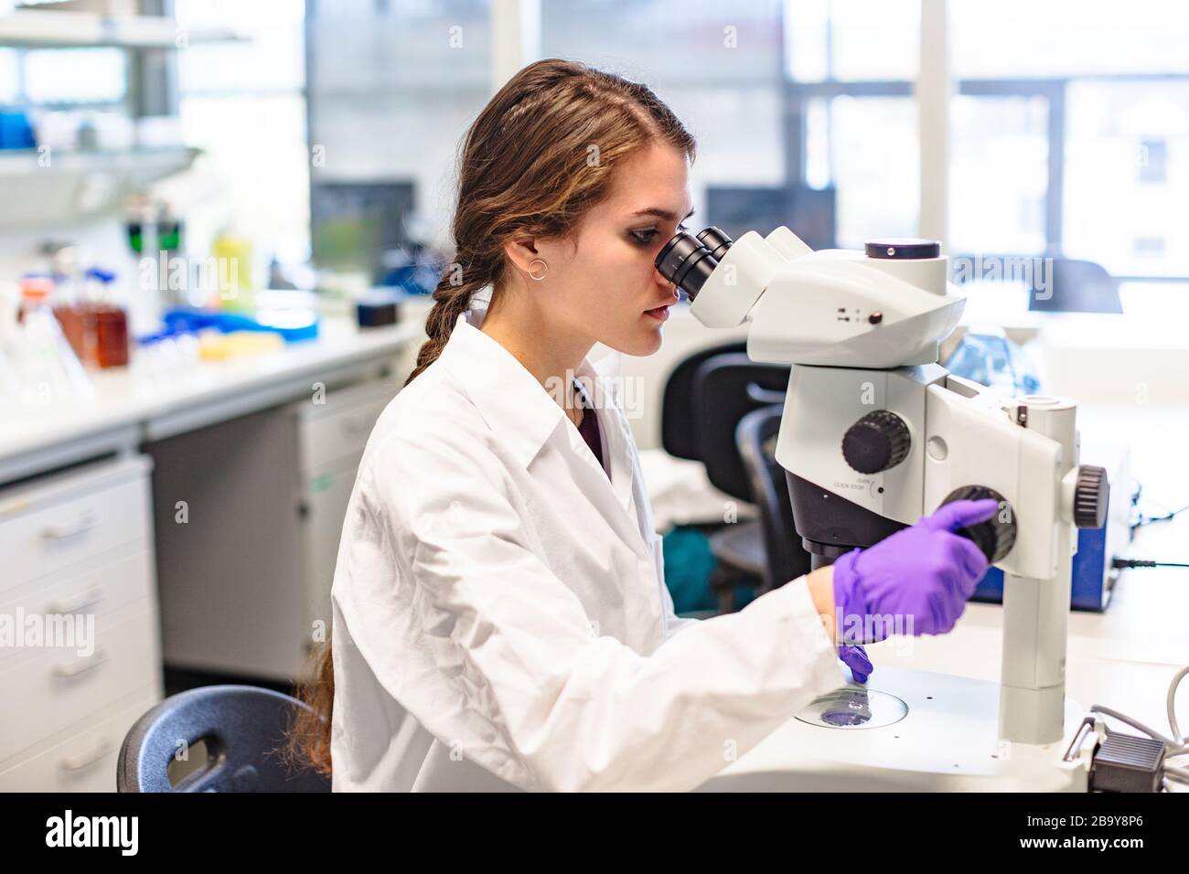 Scientist conducts study of biological material in lab Stock Photo - Alamy