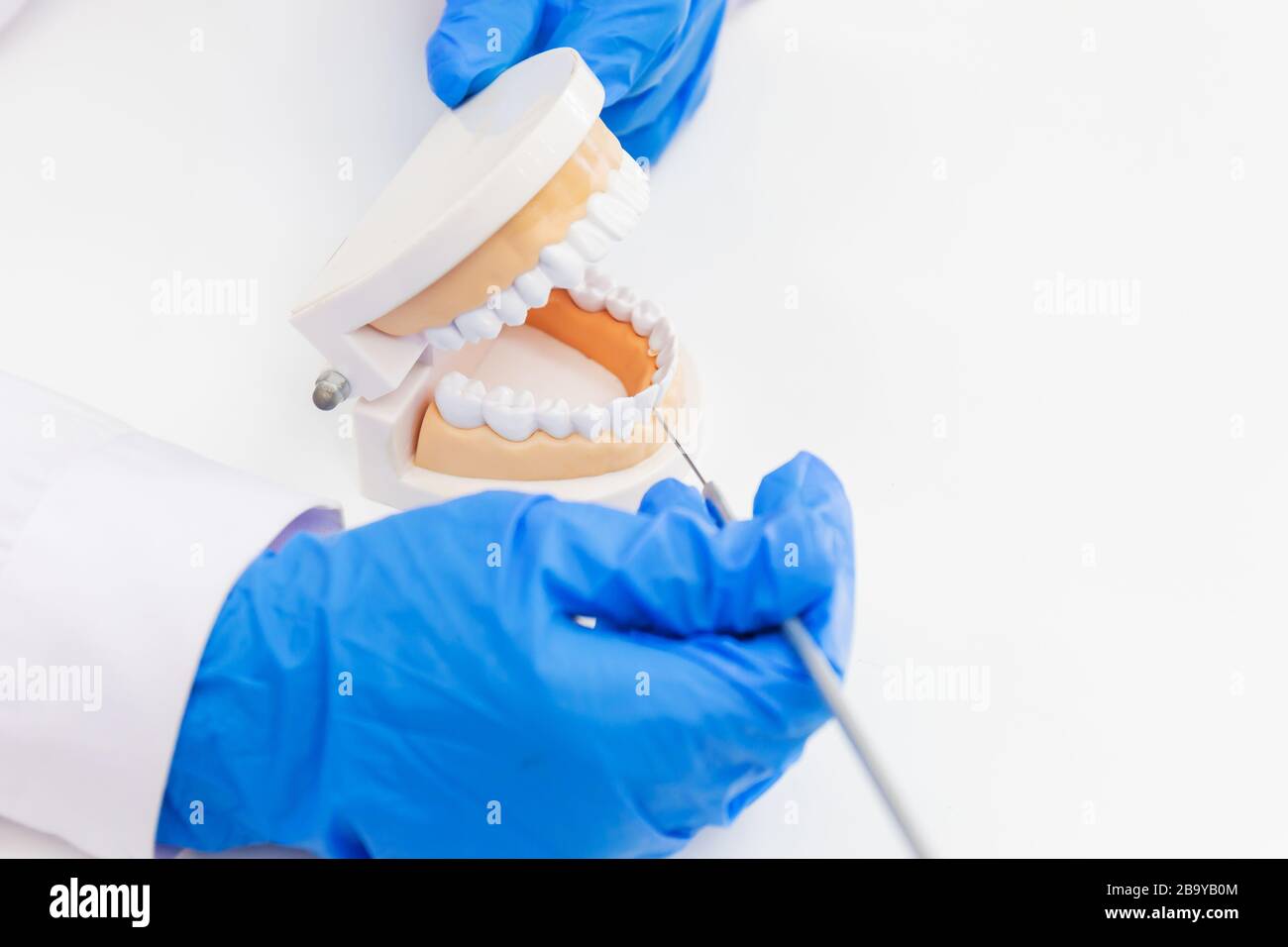 The dentist is introducing the knowledge with denture equipment in the