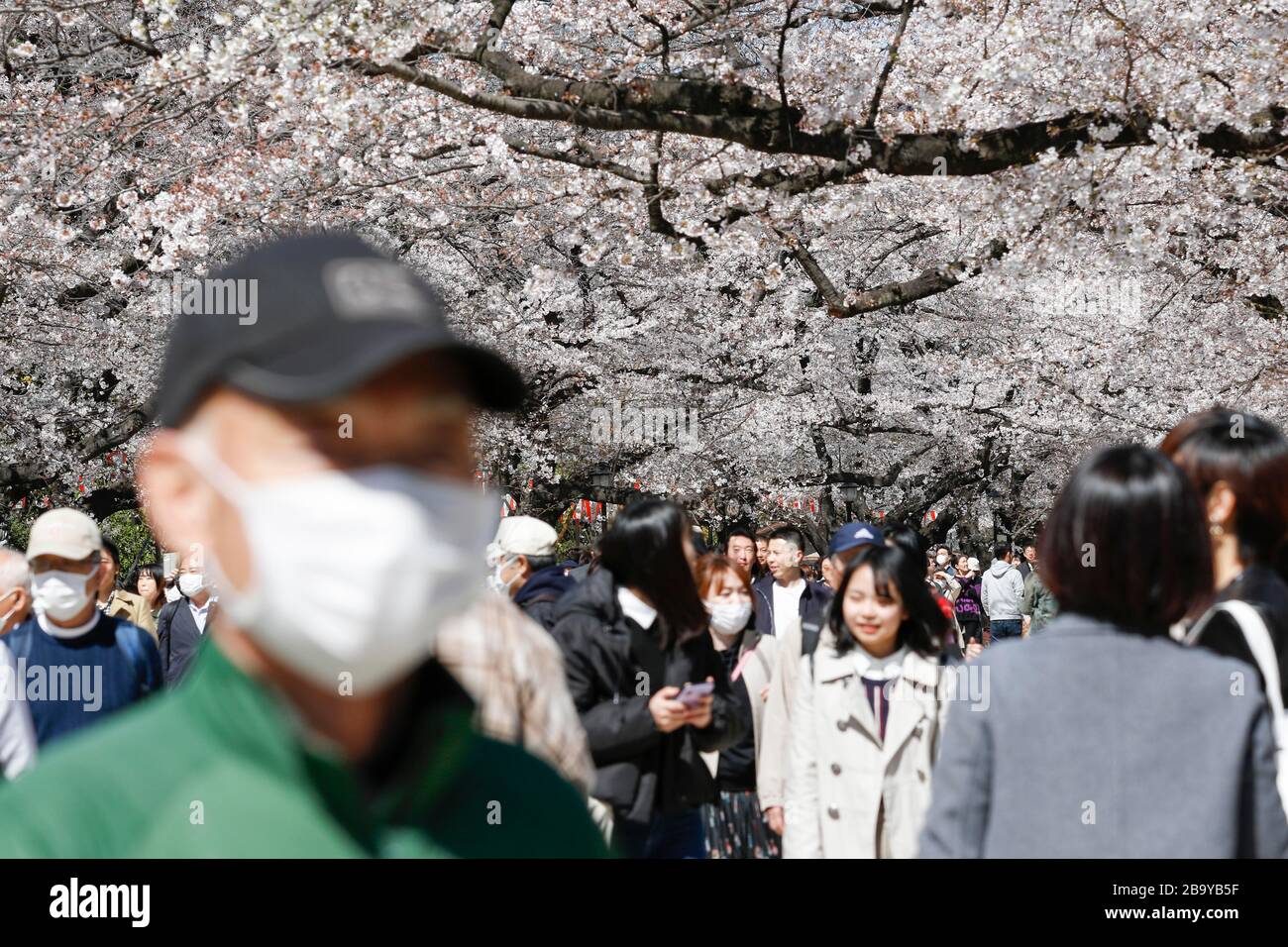 Tokyo, Japan. 25th Mar, 2020. Visitors wearing face masks gather to see the cherry blossoms in full bloom at Ueno Park. Tokyo Governor Yuriko Koike asked residents, on Wednesday, to refrain from all non-essential outings this weekend, amid a rise of 41 new cases of coronavirus infections reported in Tokyo on Wednesday alone. During a news conference, Koike warned to lock down the city if the coronavirus infection cases continue rising. Credit: Rodrigo Reyes Marin/ZUMA Wire/Alamy Live News Stock Photo
