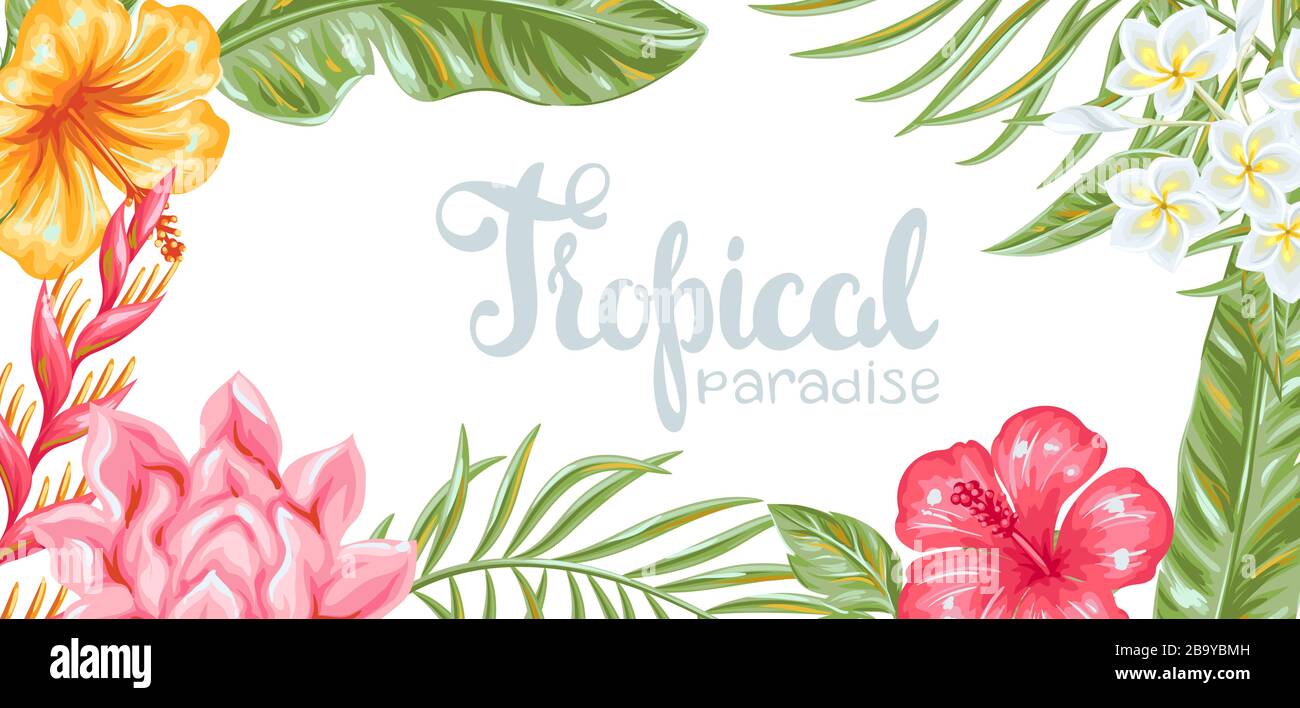 Background with tropical flowers and leaves Stock Vector Image & Art ...