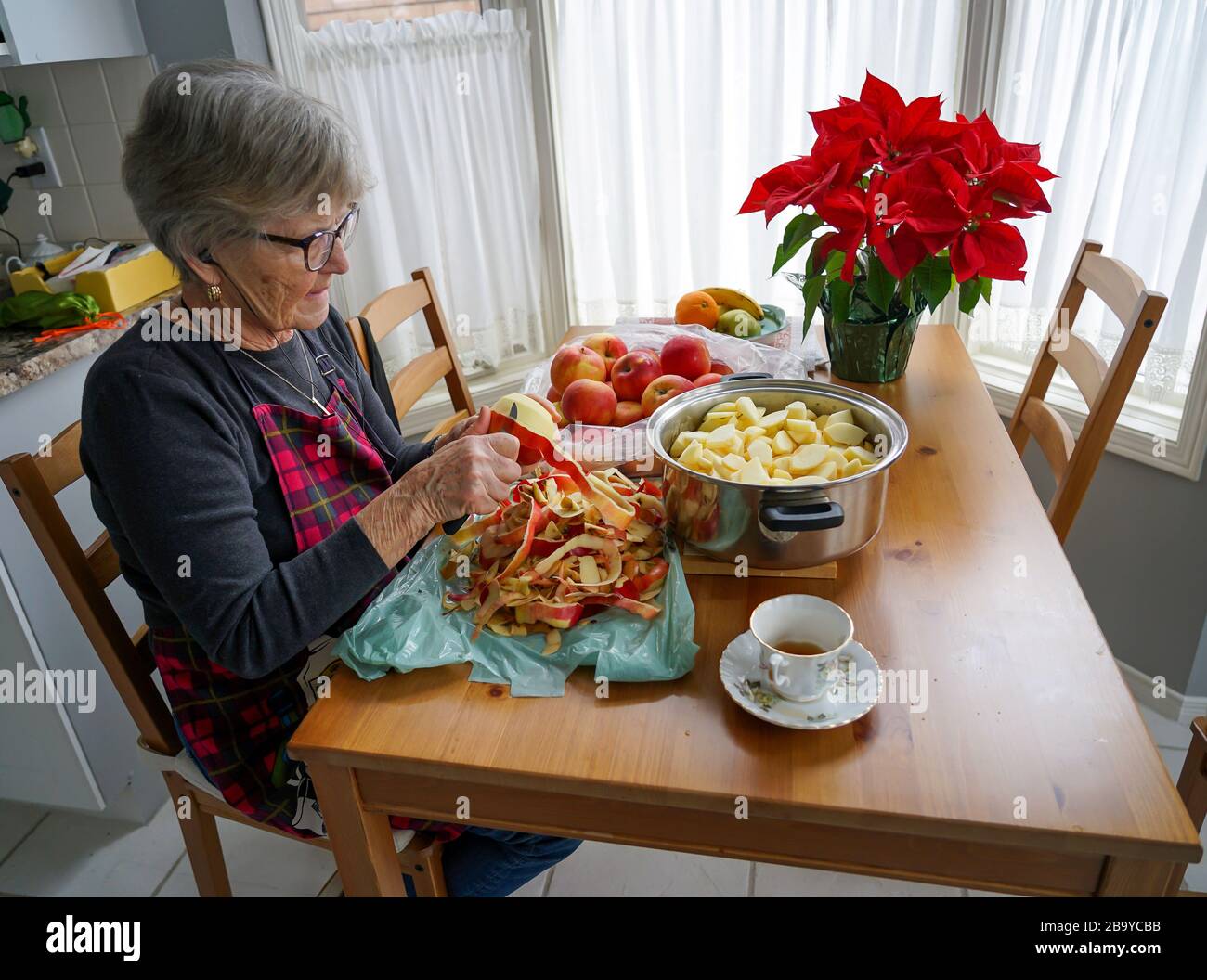 Mature Lady is making Applesauce in her kitchen by peeling apples and cutting them into a pot.In Ontario, Canada, North America Stock Photo