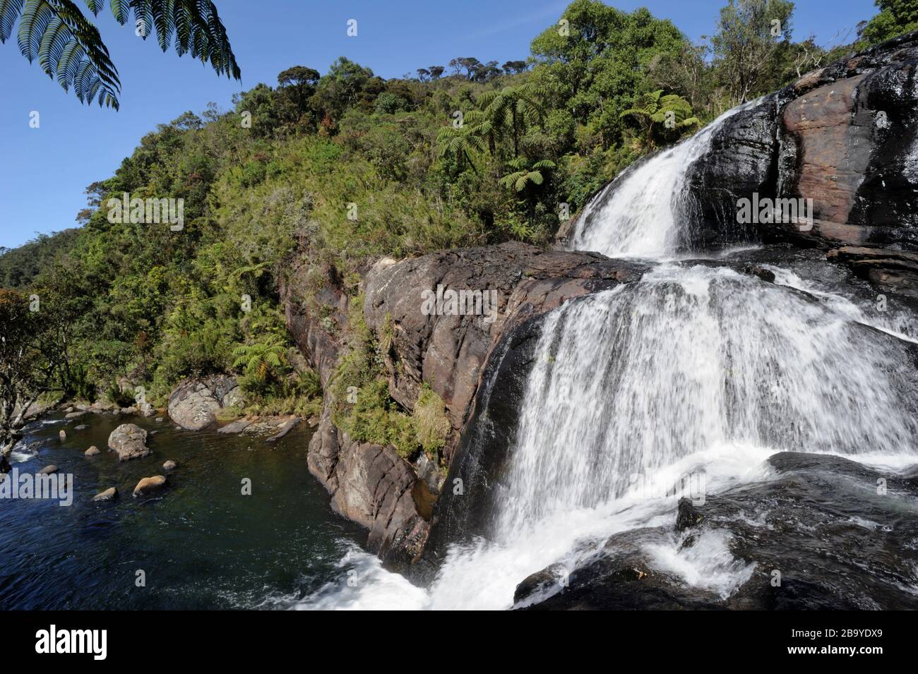 Sri Lanka, Horton Plains National Park, Baker’s falls Stock Photo