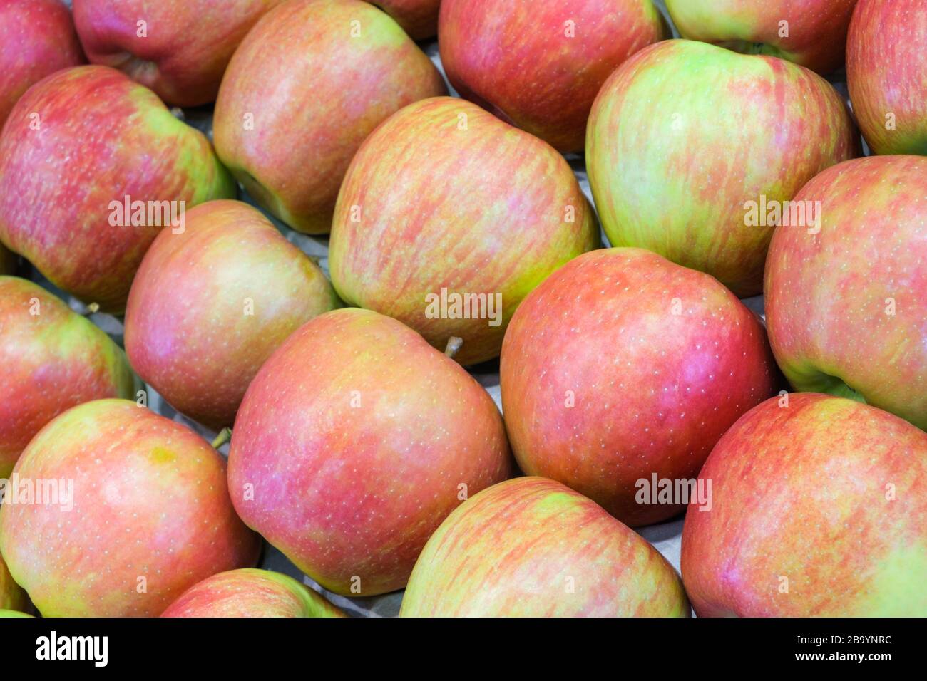 Web banner red apples background Stock Photo