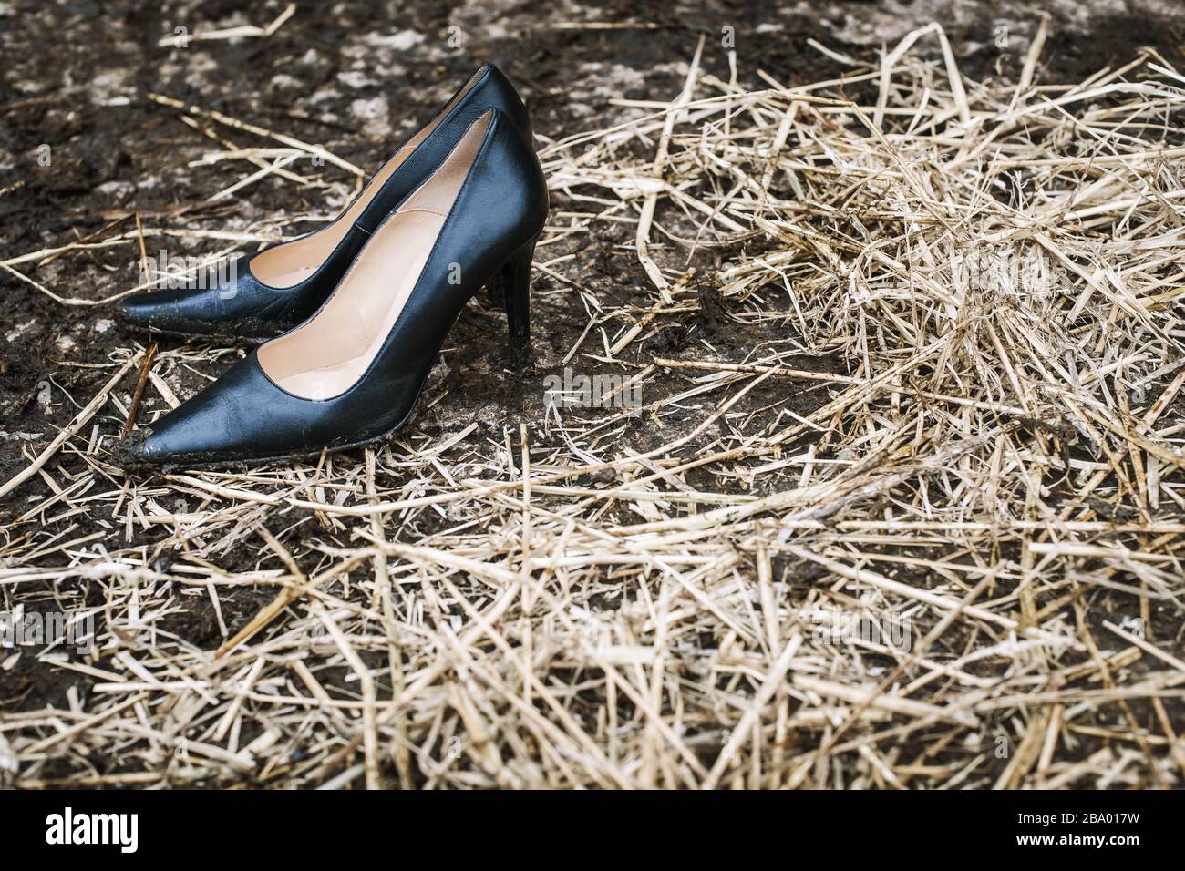 Smart woman's shoes in mud & straw Stock Photo