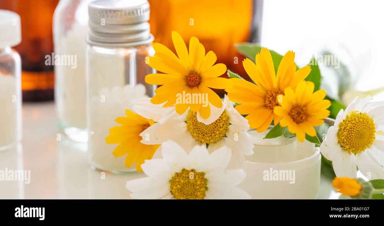 Alternative herbal medicine. Fresh wild yellow daisies, homeopathic