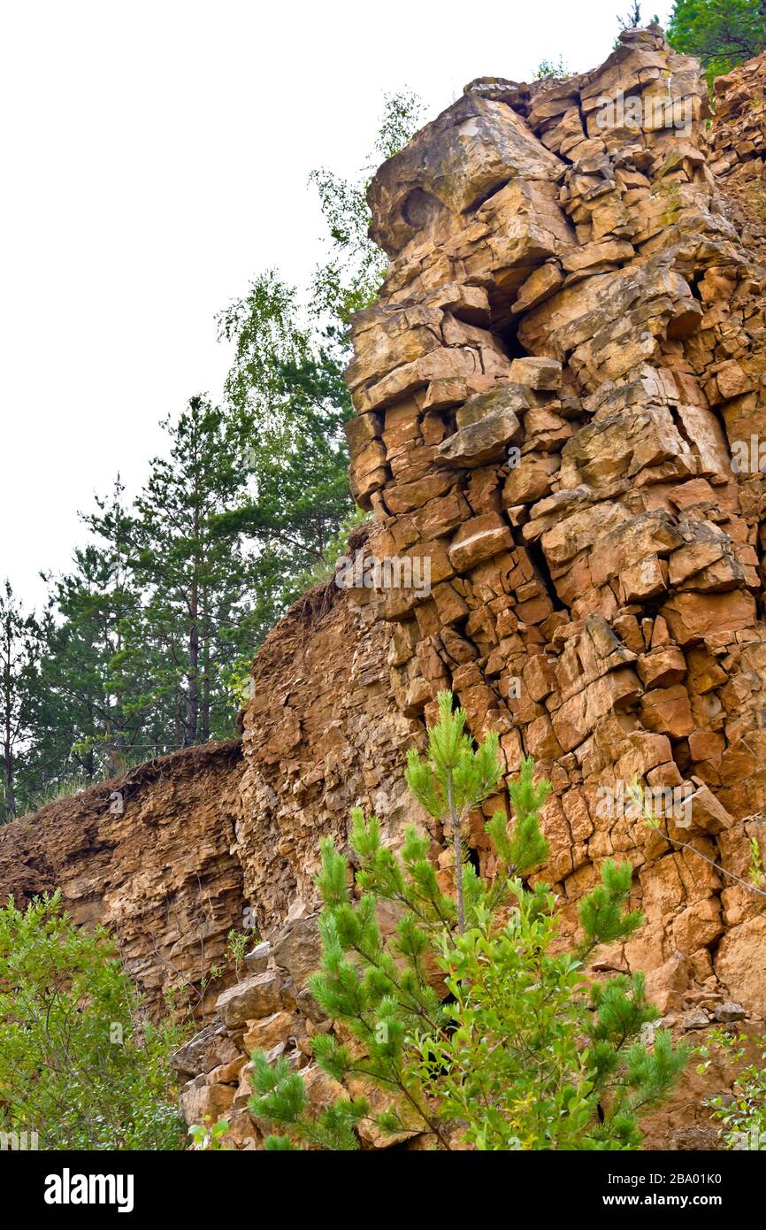 Trees on rock in mountains Stock Photo