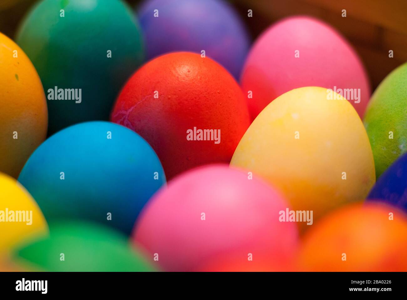 Close-up of multiple eggs dyed blue, pink, red, yellow, orange, and green surrounding a red egg in focus in the middle Stock Photo