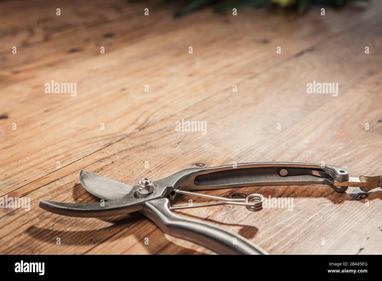 secateurs pruning shears on wooden table top Stock Photo