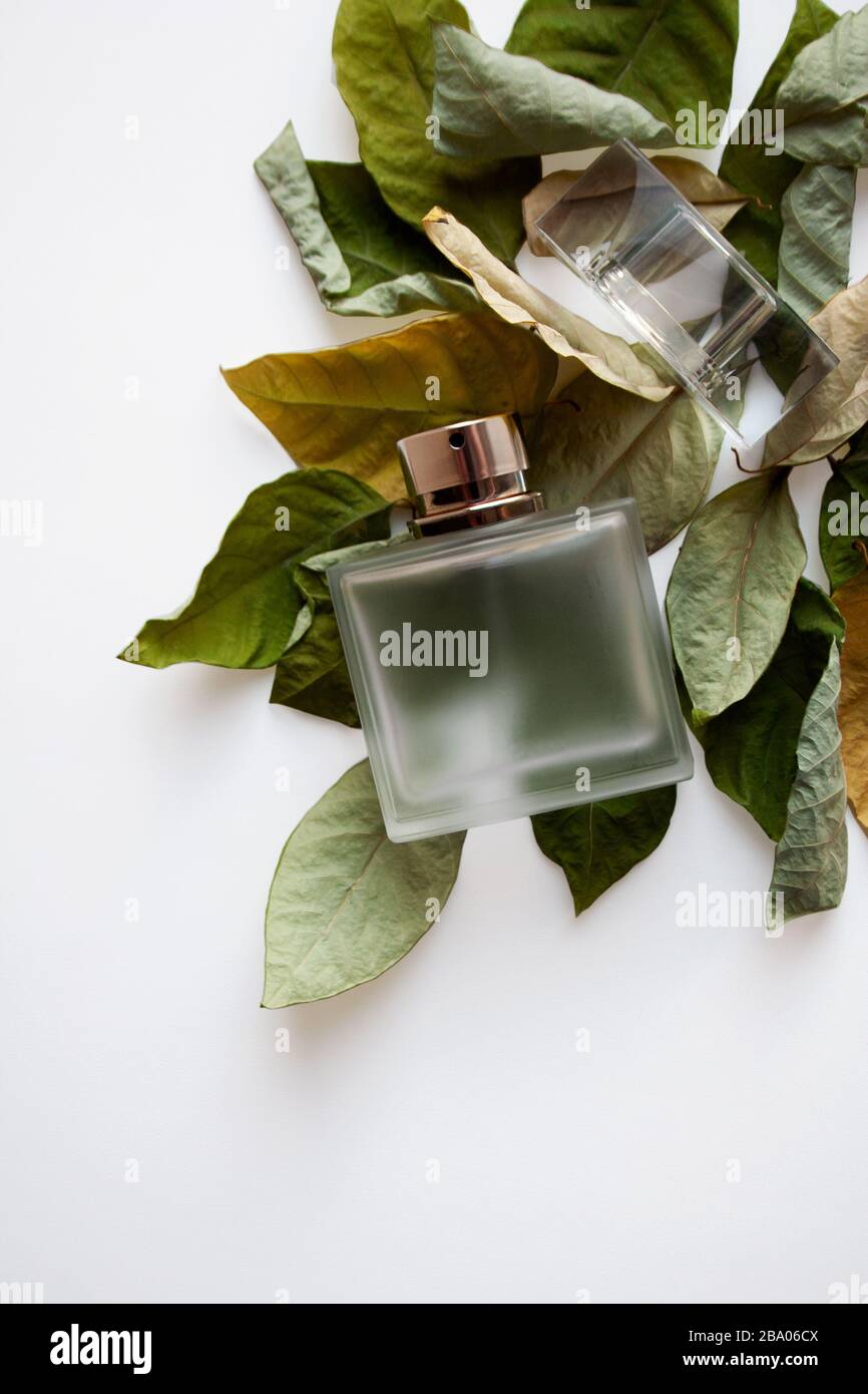 Rectangular glass perfume bottle on dried green and yellow leaves Stock Photo