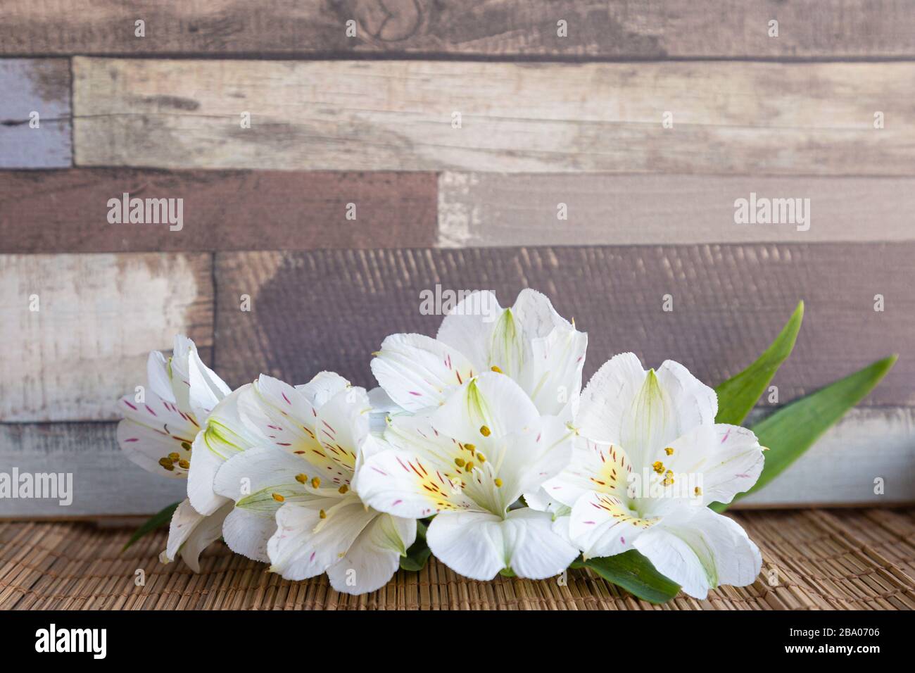 Background with White Alstroemeria flowers or Peruvian lily or Lily of the Incas with natural wooden background Stock Photo