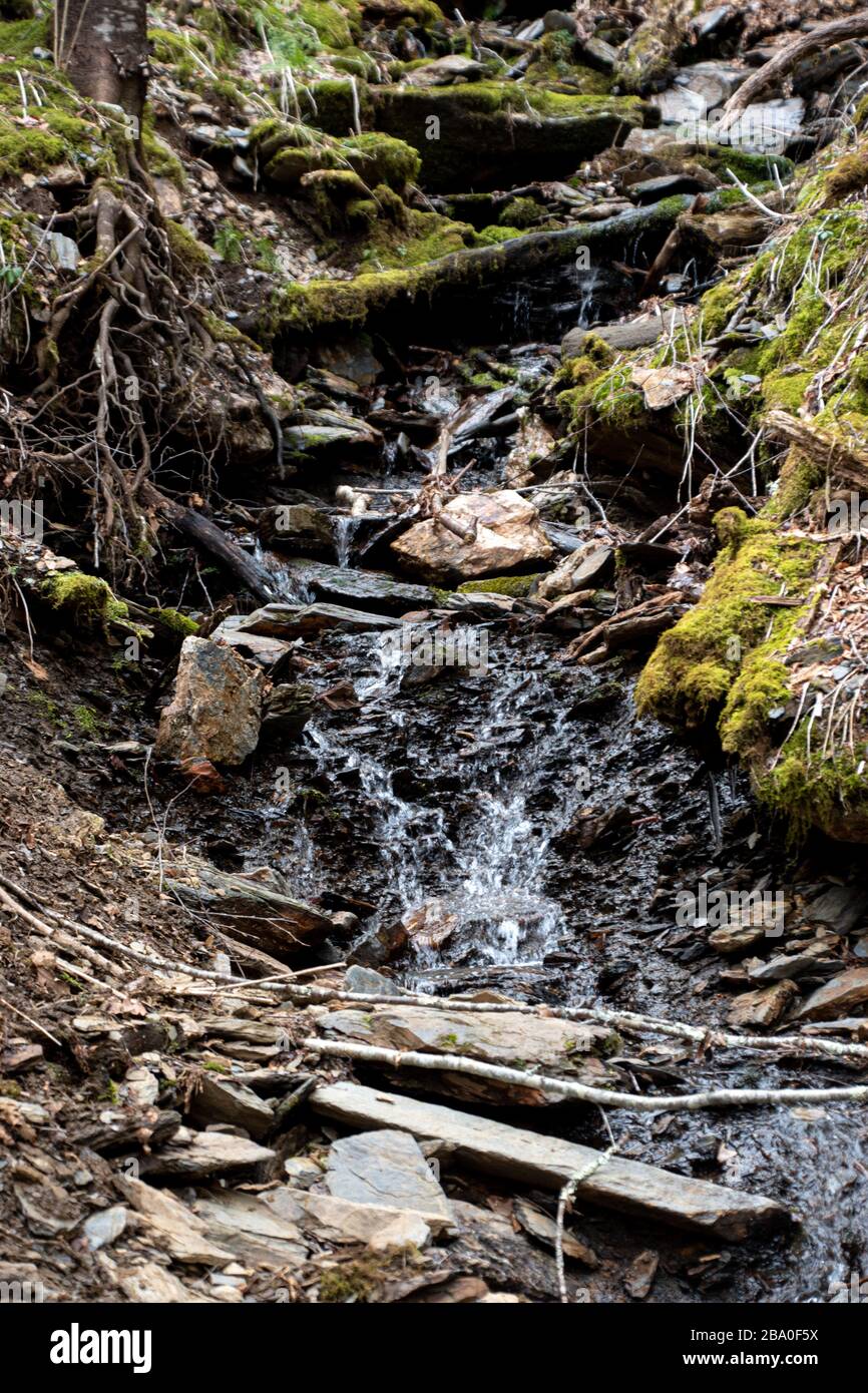 A small stream going through the Great Smoky Mountains National Park on the Alum Cave Trail near Gattlinburg, Tennessee Stock Photo