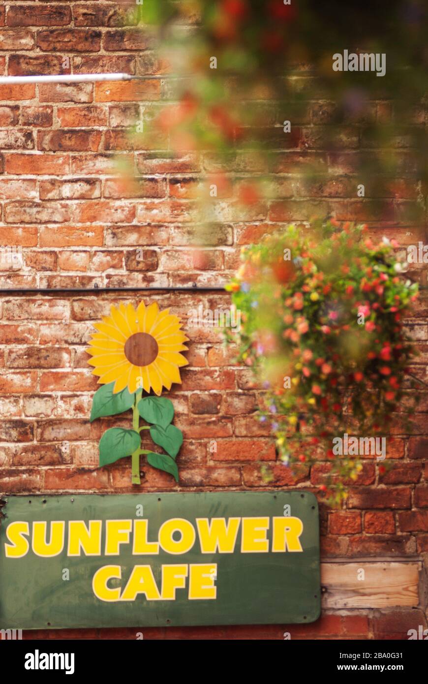 The Sunflower Cafe,Bucktons Yard, Darlington Stock Photo Alamy