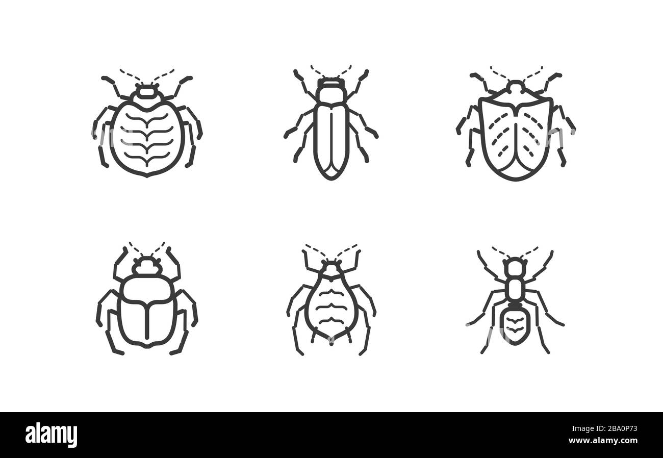 Insects icon set. Animals vector illustration isolated on white background Stock Vector
