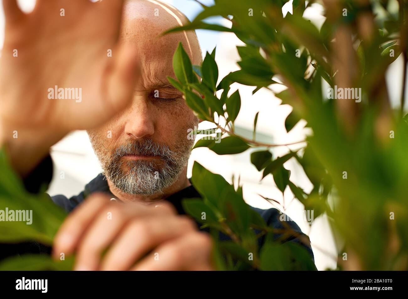 Musical Artist, producer, and animal rights activist, Moby at his restaurant Little Pine in Los Angeles, California. Stock Photo