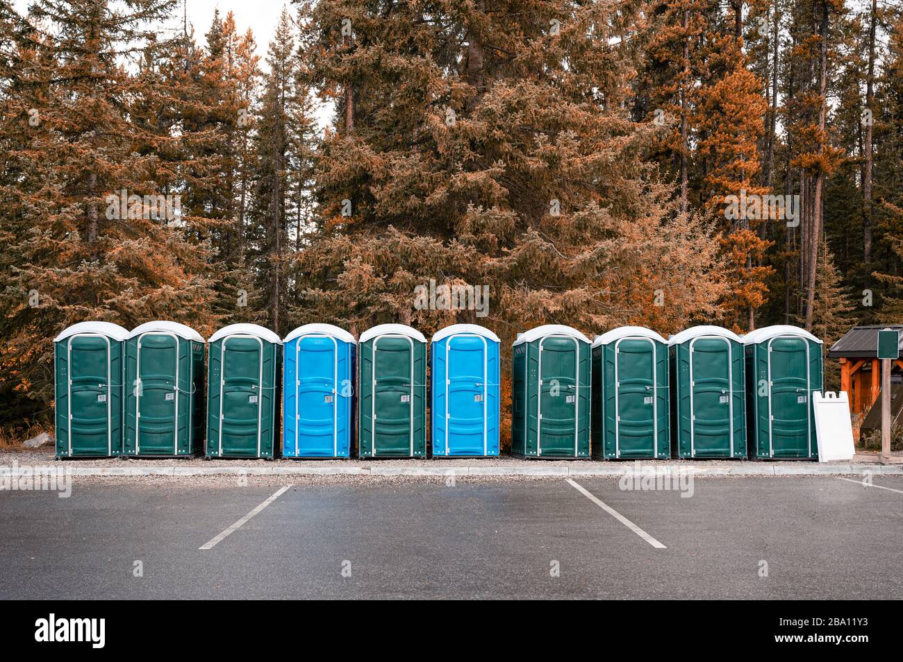 Row of green, blue portable chemical toilets in autumn forest at national park Stock Photo