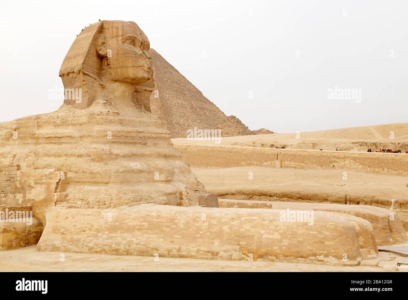 The Great Sphinx of Giza, by the Great Pyramid of Khufu, at the Giza Plateau in Cairo, Egypt. The sphinx is thought to be more than 4,500 years old. Stock Photo