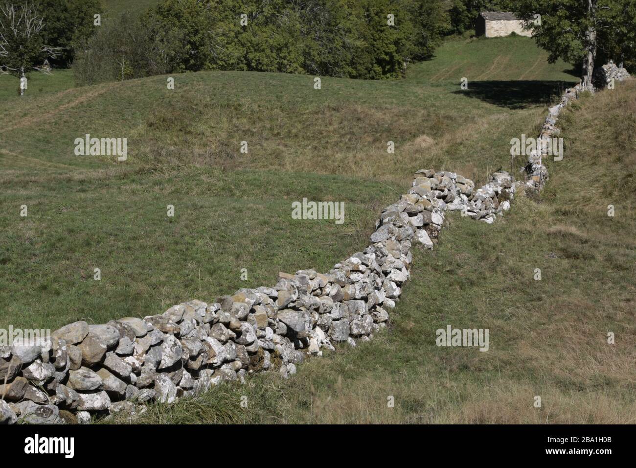 Stone fence with sinuous shape. Stock Photo