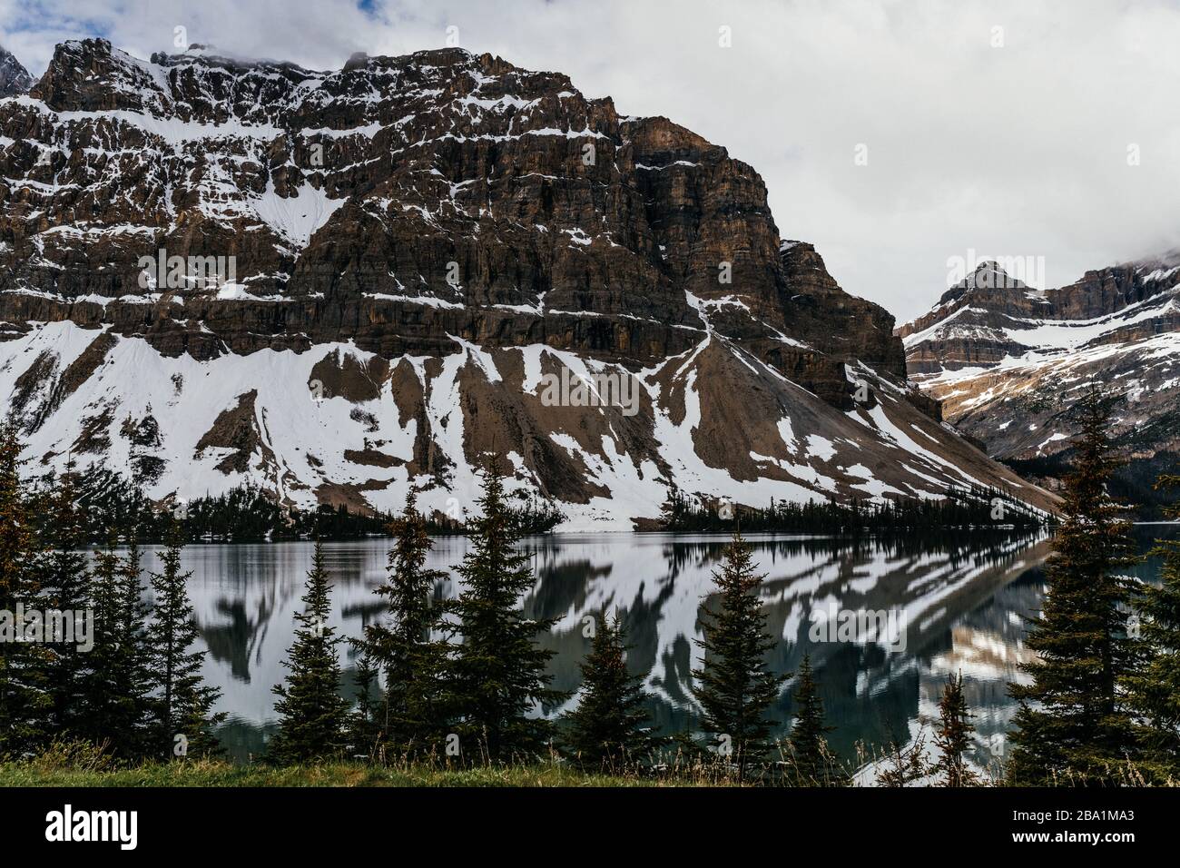 Canada landscape brown bears hi-res stock photography and images - Alamy