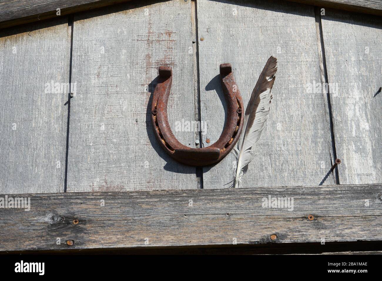 Horseshoe on wood wall Stock Photo Alamy
