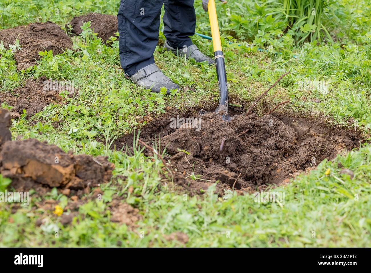 Плодородие почвы. Можно ли работать с землей. Весна огород. Можно ли работать с землей. Копка под фундамент.