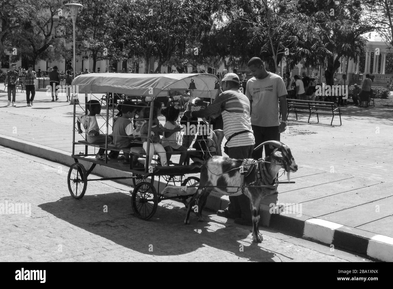 Havana School children ridding in cart with goat with horns canopy over the top ride teacher helping old style buggy ride park stopped loading unload Stock Photo