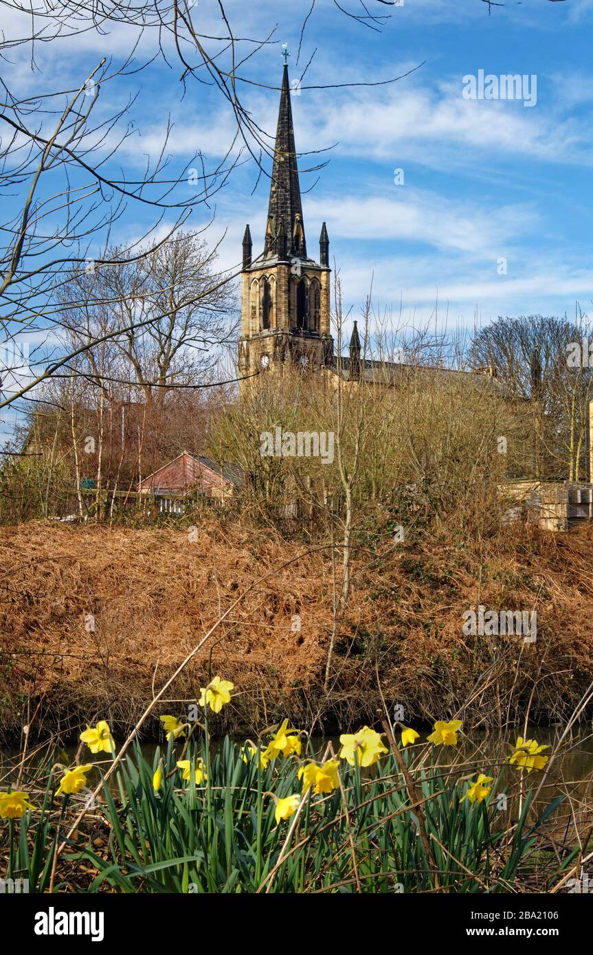 UK,South Yorkshire,Elsecar,Holy Trinity Parish Church and Daffodils next to Elsecar Canal Stock Photo
