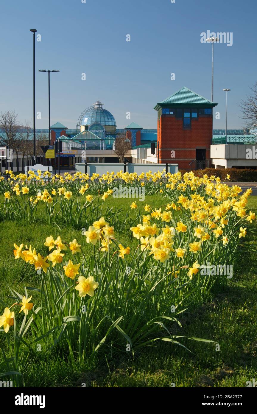 UK,South Yorkshire,Sheffield,Meadowhall Shopping Centre with roundabout