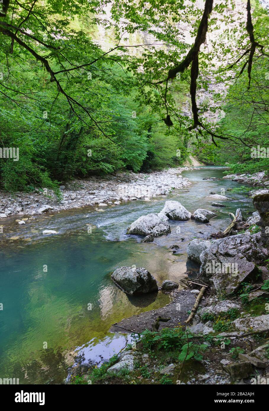 Beautiful mountain river Khosta, the yew-Boxwood grove. Gorge of the Caucasus mountains. Sochi, Krasnodar region Stock Photo