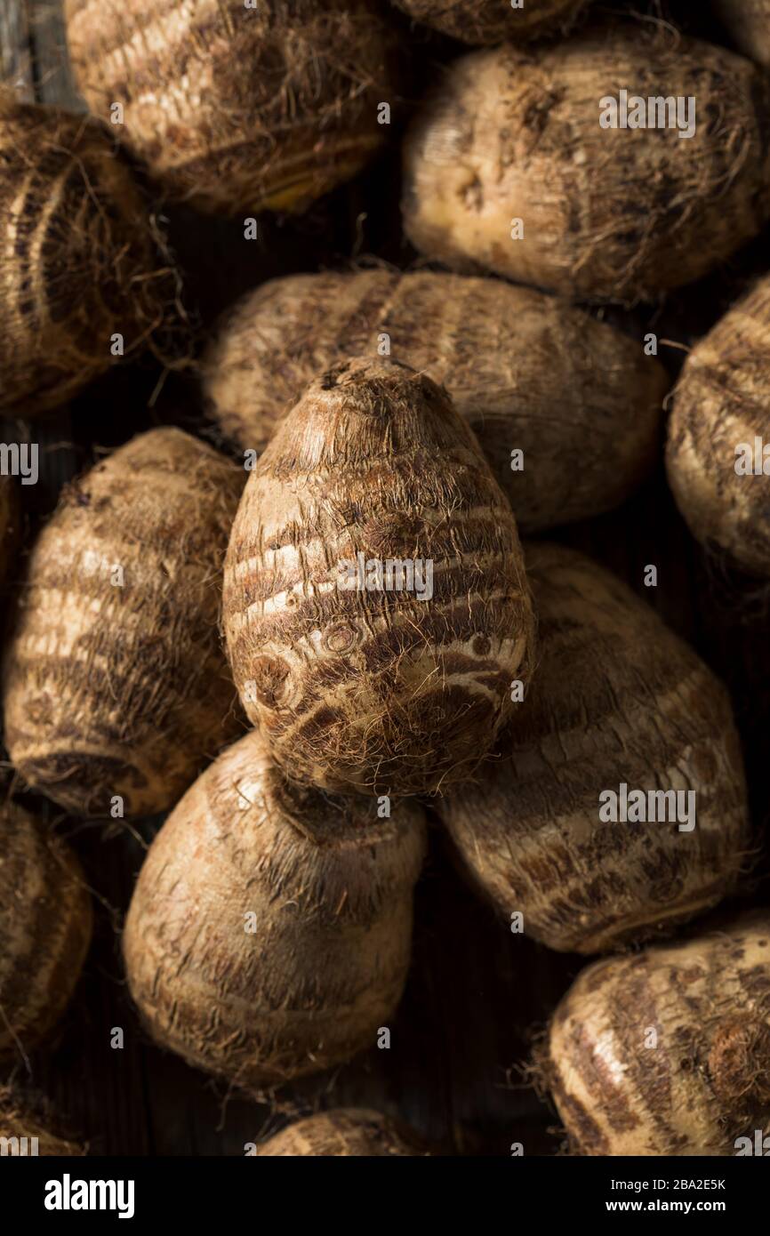 Raw Organic Brown Taro Root Ready To Cook Stock Photo Alamy alamy