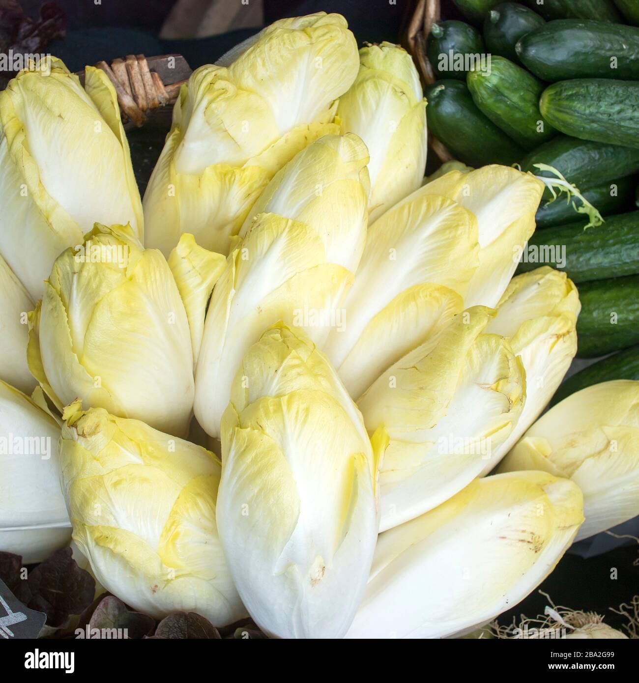 Chicory for sale at the farmers market. Squere frame Stock Photo - Alamy