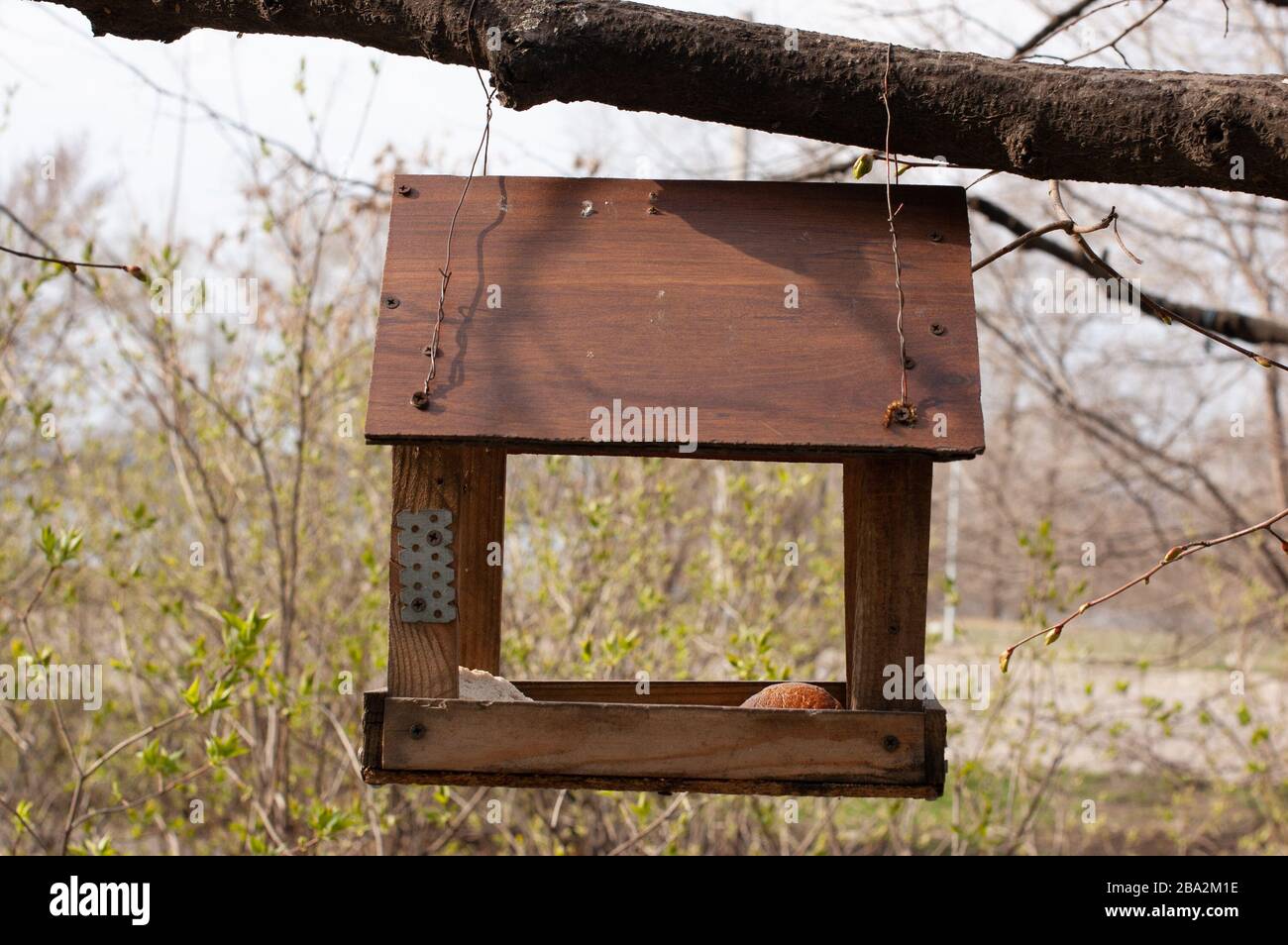 Small house for birds a starling house fixed on an tree Stock Photo
